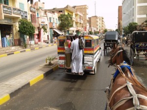 Egypt Bus