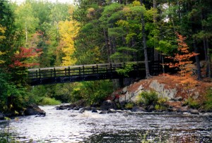 Nature in Michigan