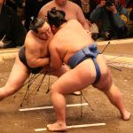 Sumo