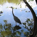 Everglades National Park